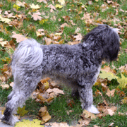 rea3.gif(32 kb)
